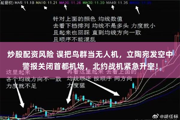 炒股配资风险 误把鸟群当无人机，立陶宛发空中警报关闭首都机场，北约战机紧急升空！