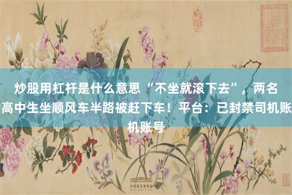 炒股用杠杆是什么意思 “不坐就滚下去”，两名女高中生坐顺风车半路被赶下车！平台：已封禁司机账号