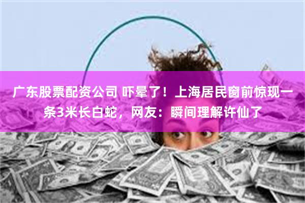 广东股票配资公司 吓晕了！上海居民窗前惊现一条3米长白蛇，网友：瞬间理解许仙了