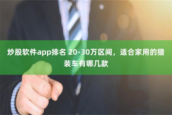 炒股软件app排名 20-30万区间，适合家用的猎装车有哪几款