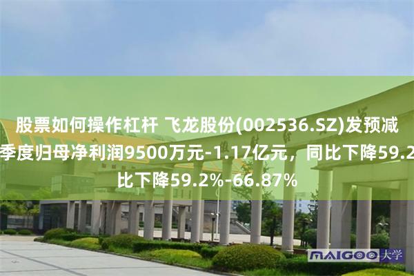 股票如何操作杠杆 飞龙股份(002536.SZ)发预减,预计前三季度归母净利润9500万元-1.17亿元,同比下降59.2%-66.87%